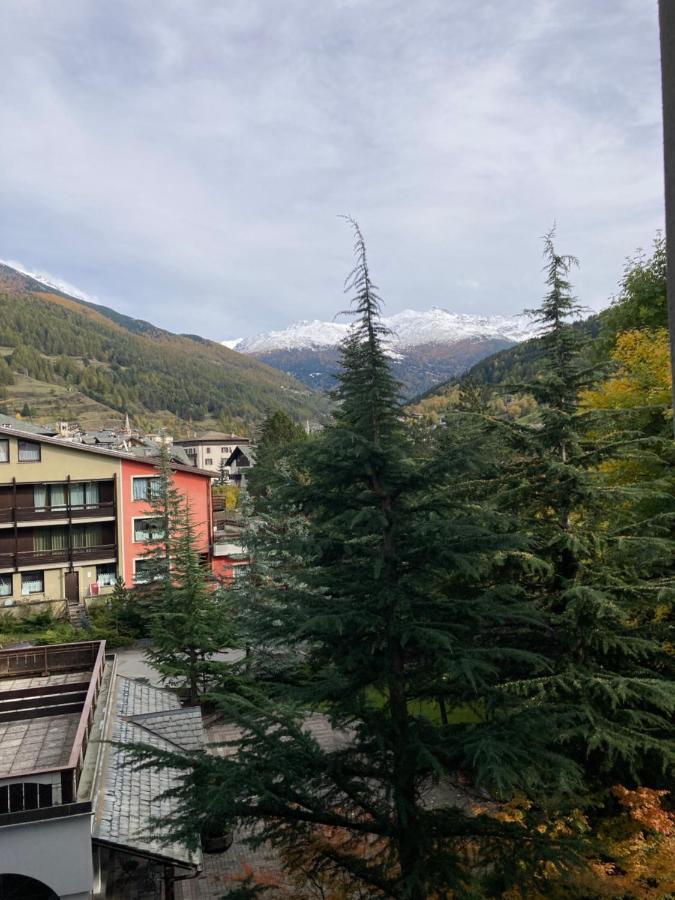Apartment Il Pettirosso - Bormio