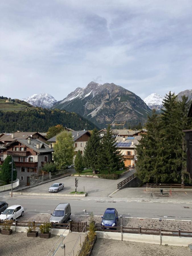 Apartment Il Pettirosso - *