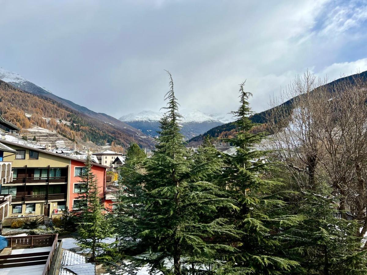 Il Pettirosso - * Bormio