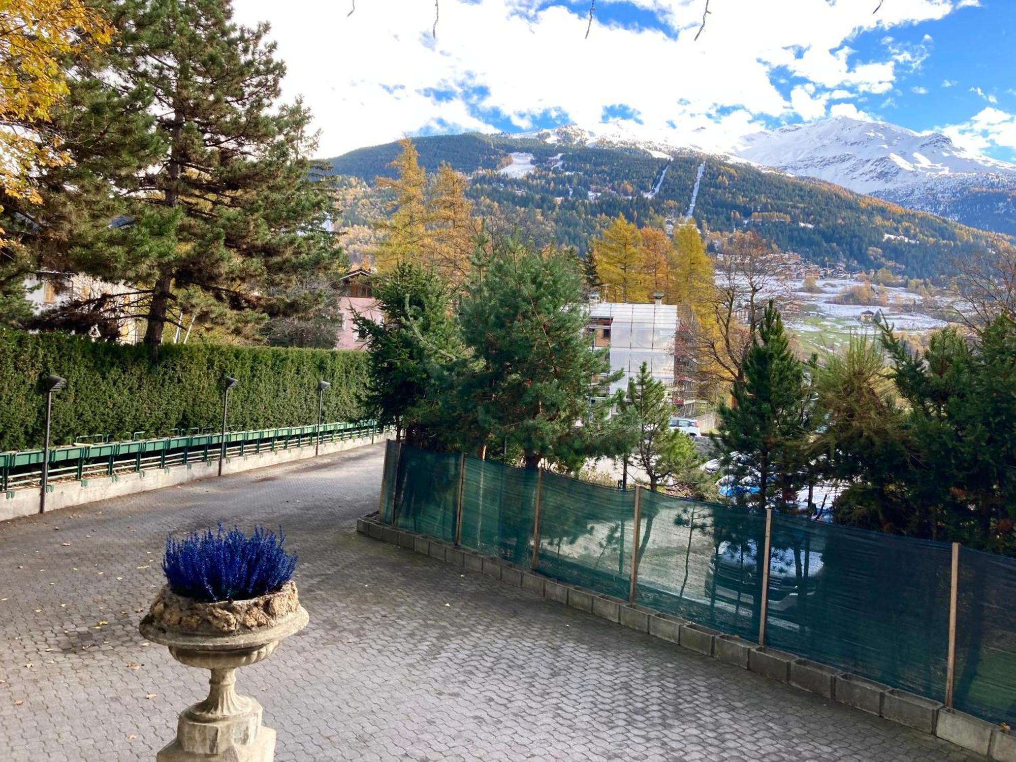 Il Pettirosso - Apartment Bormio